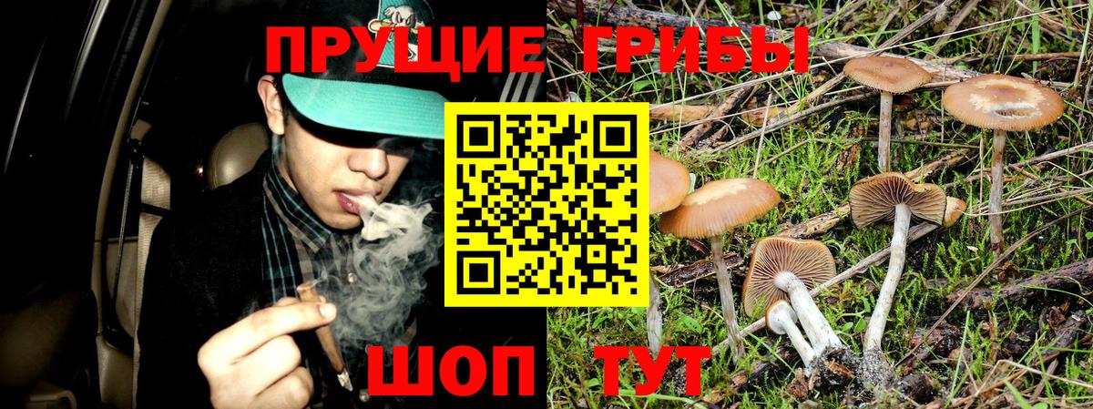 Майкоп  Галлюциногенные грибы Magic Shrooms  Галлюциногенные грибы прущие грибы  Вход с VPN 
